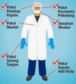 WhatsApp Image 2025-02-12 at 12.14.23 PM